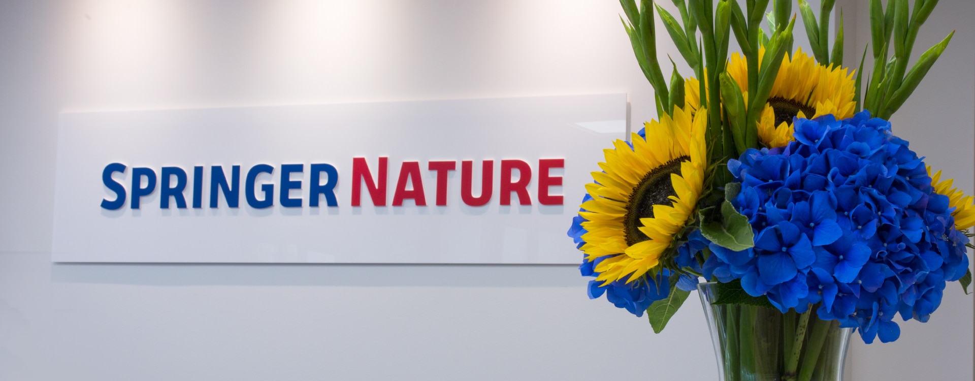 Exit BC Partners Strebt Milliarden IPO F r Springer Nature An FYB 